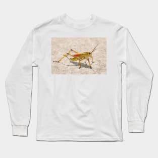 Romalea microptera, Florida lubber grasshopper Long Sleeve T-Shirt